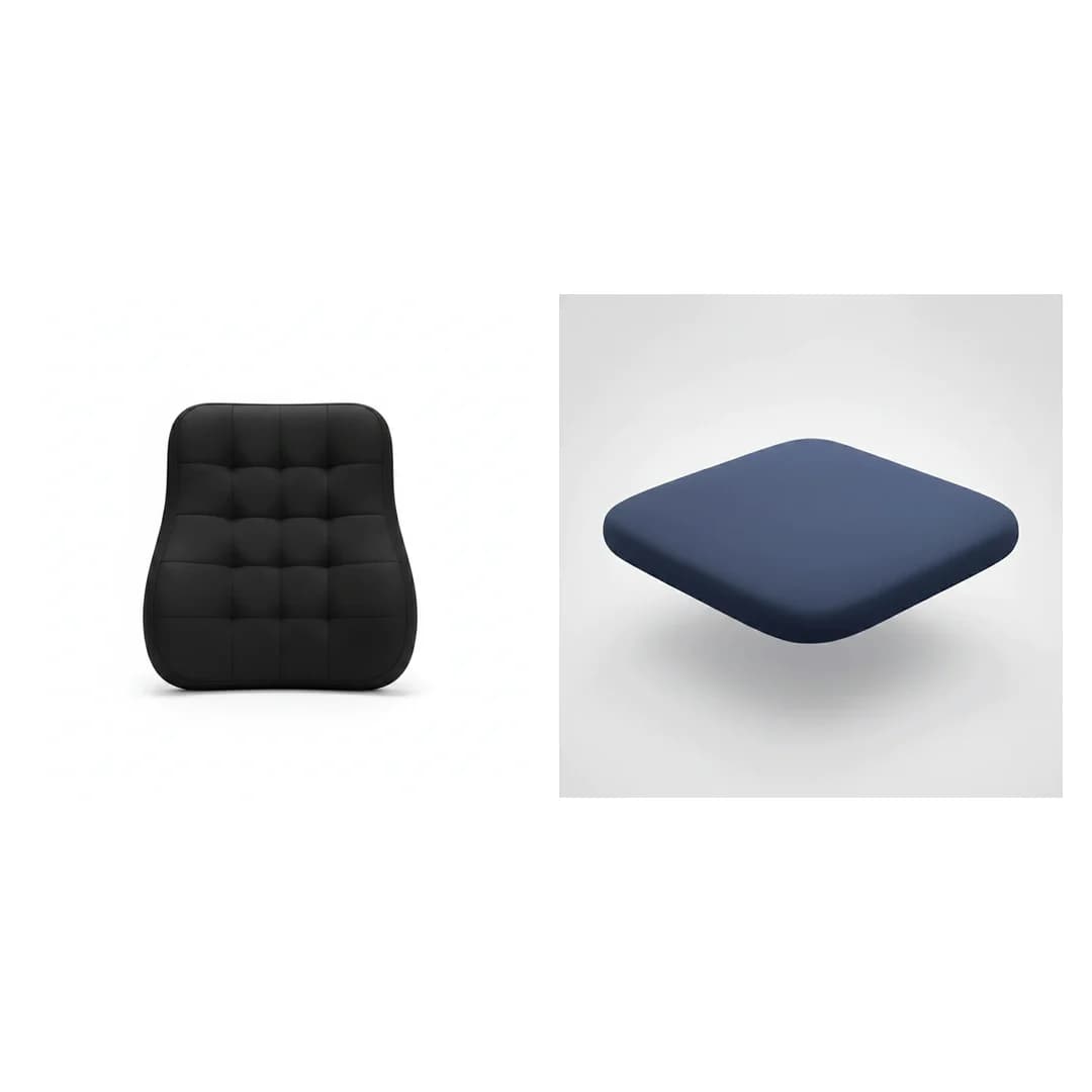 Back Pain Remote Work Kit
