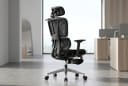 LumaSpine Pro Ergonomic Office Chair